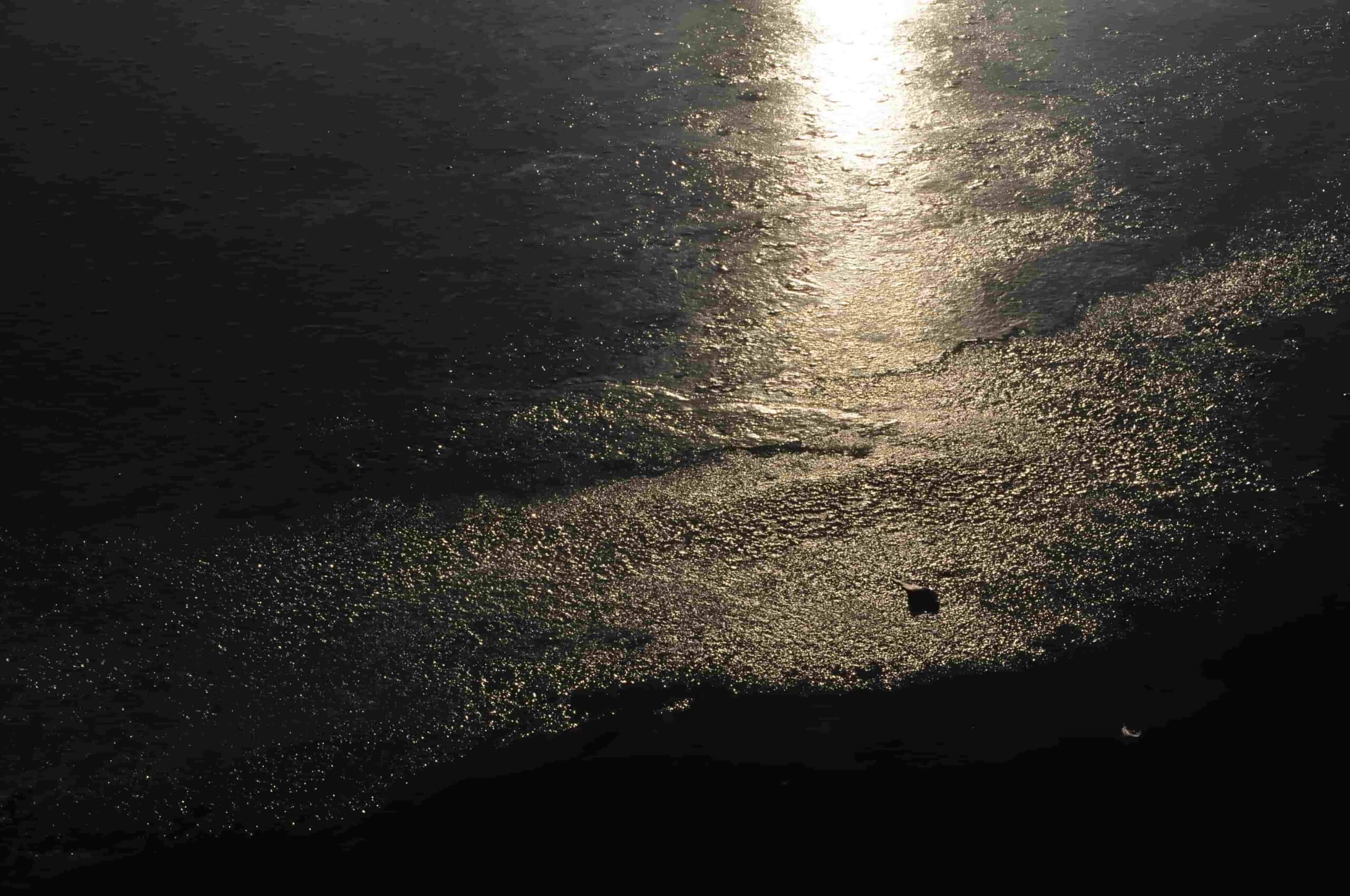 Poezja współczesna. Pismo literackie i wydawnictwo.