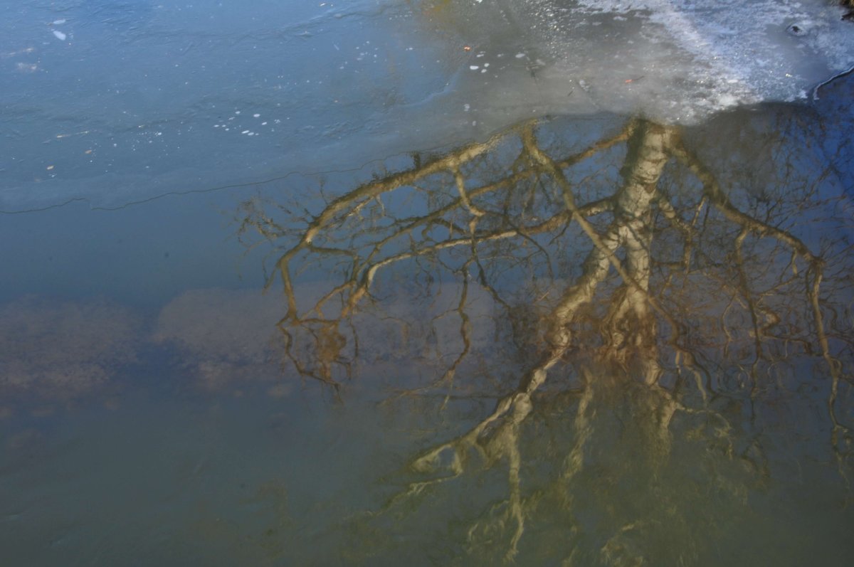 Przemysław Jaźwiński  Wiersze