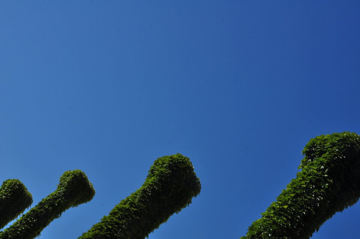 Recenzja ,,W formie”  Kinga Młynarska