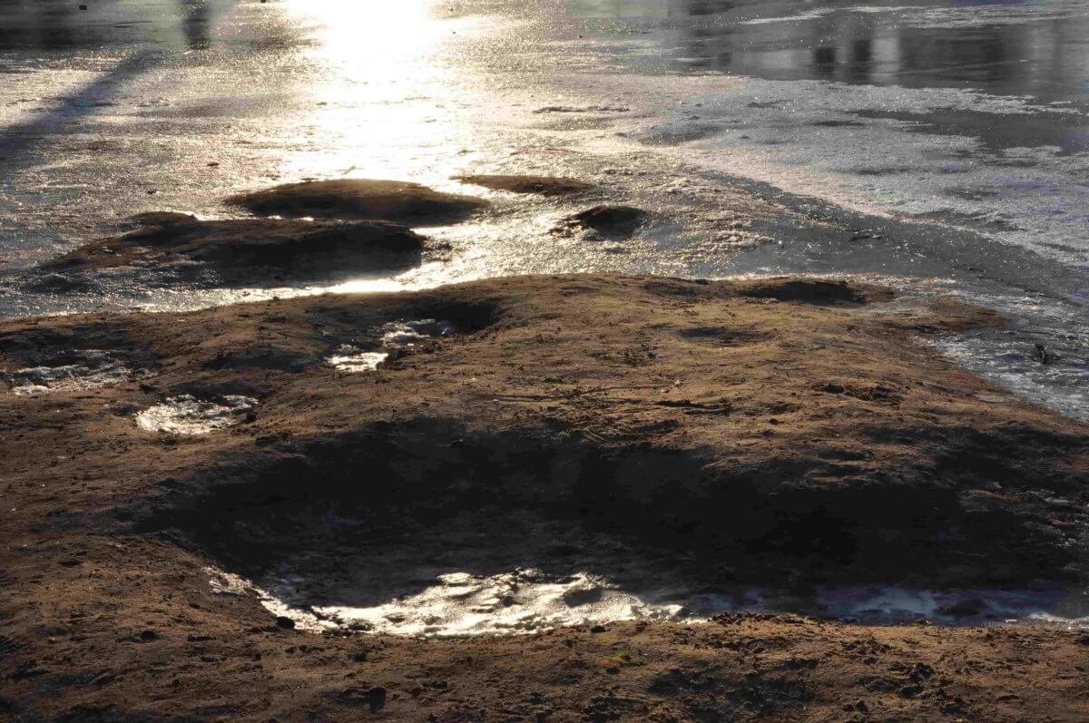 Kłębowiska   Malika Tomkiel