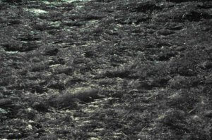 Poezja współczesna. Pismo literackie i wydawnictwo.