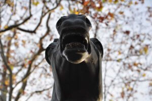 proza współczesna, wydawnictwo, pismo literackie