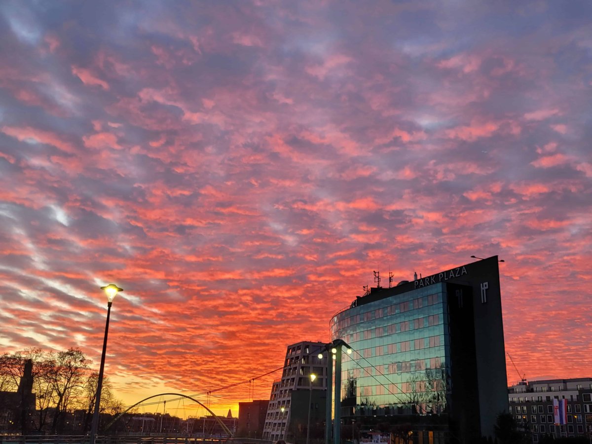 Daria Kruszewska  Wiersze