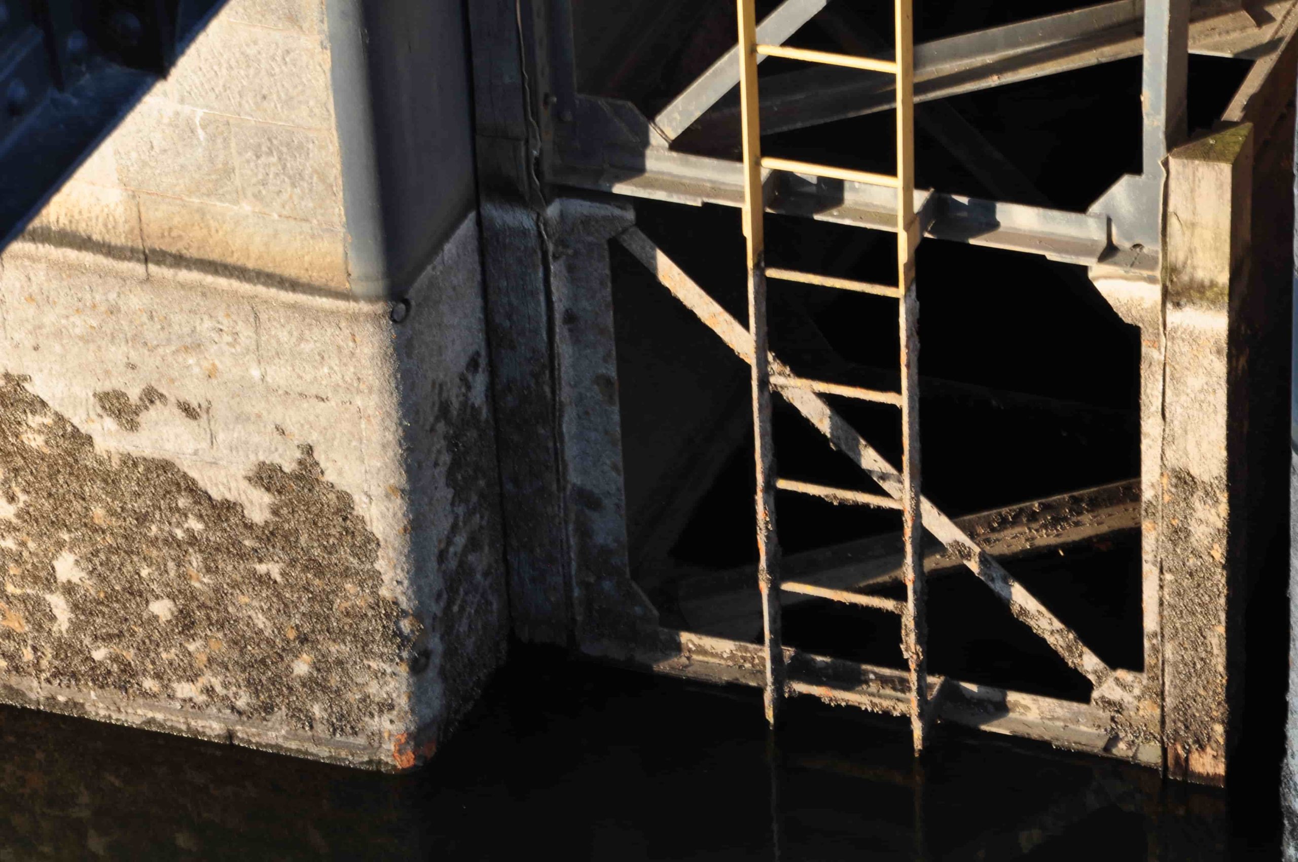 Poezja współczesna. Pismo literackie i wydawnictwo.