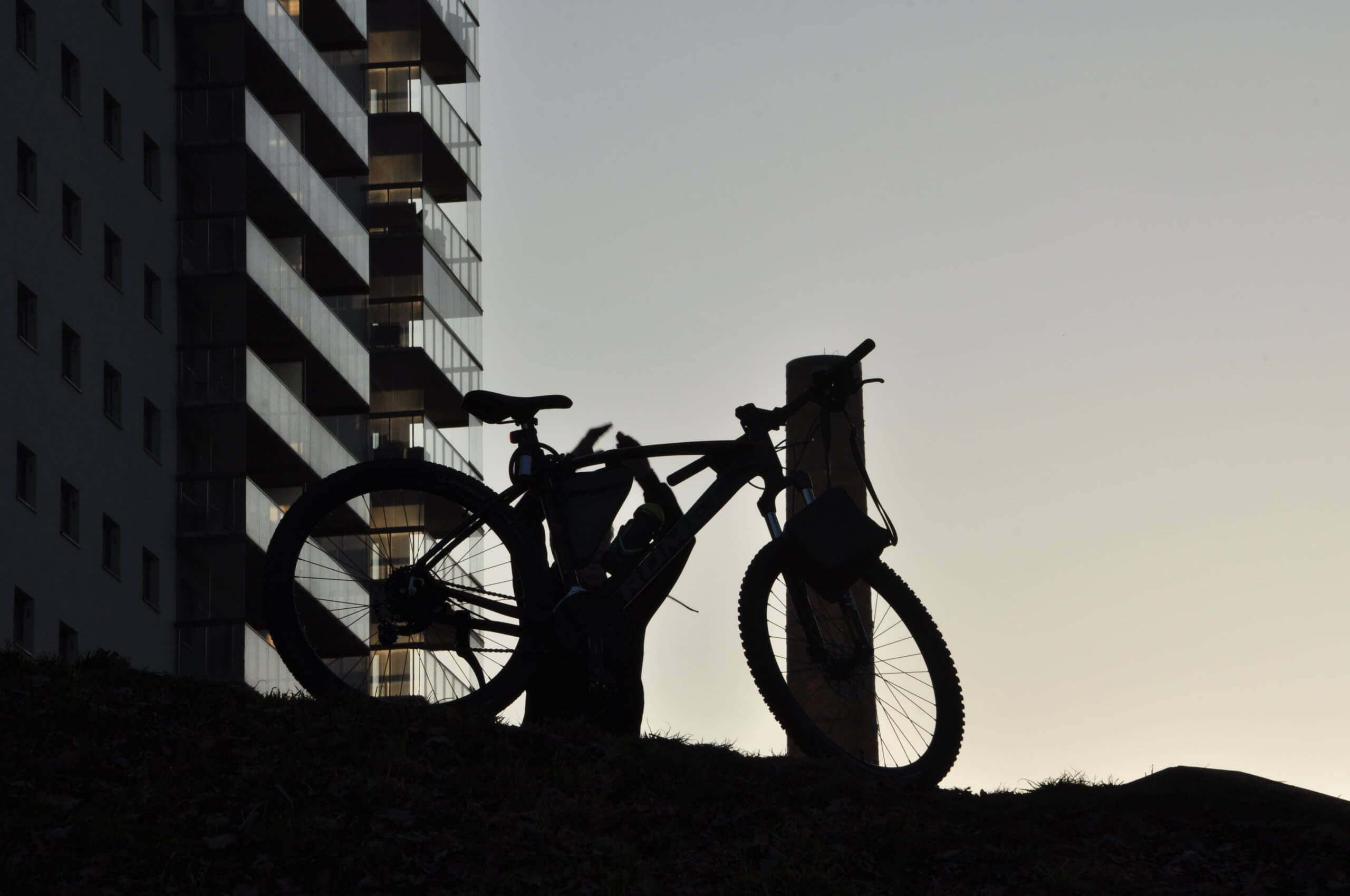 Poezja współczesna. Pismo literackie i wydawnictwo.