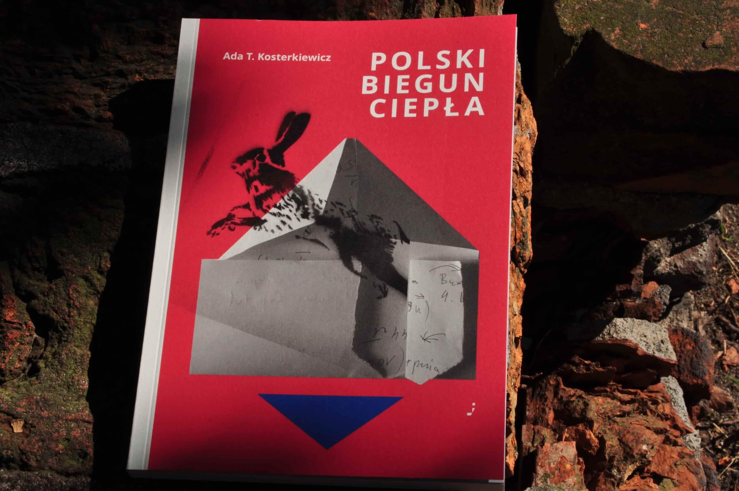 Polski biegun ciepła. Ada T. Kosterkiewicz